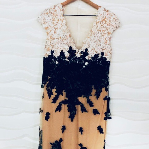 bicici and Coty Dresses & Skirts - Bicici and Coty champagne dress